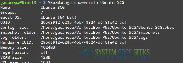 Figure 3: Displaying information about a virtual machine