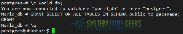 Connecting to a database and granting SELECT permissions to a role