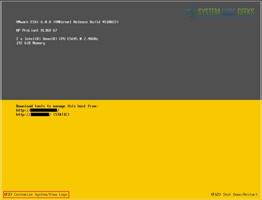 Figure 1a: Main ESXi console window