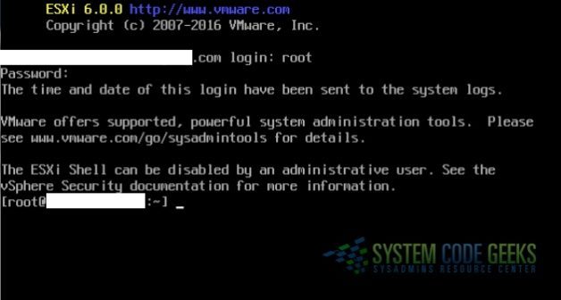 Figure 1b: ESXi Shell