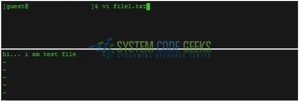 Fig. 2: Sample file having the Dummy content