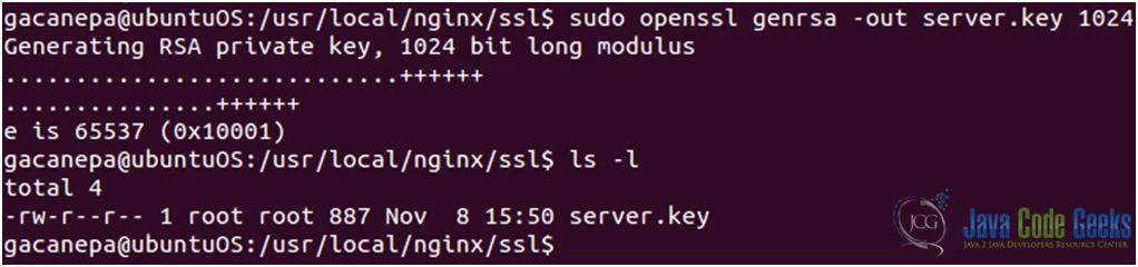Figure 5: Nginx SSL configuration guide