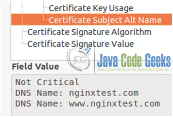 Figure 16: Nginx SSL configuration guide: Subject Alternative Names